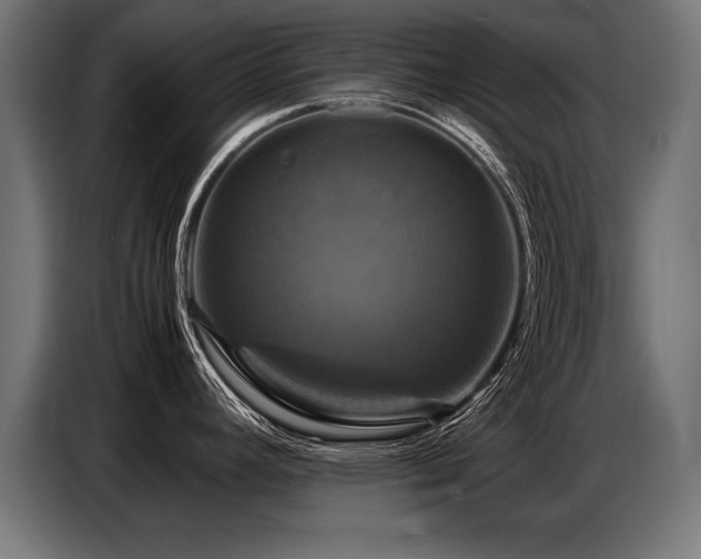 X0000087711392200705041050