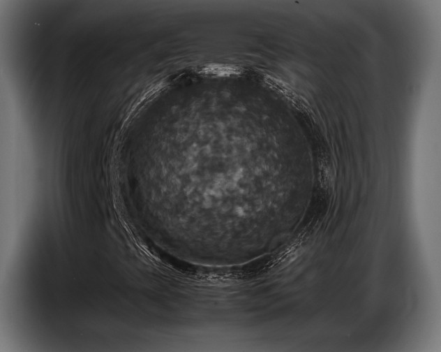 X0000087711393200705041050