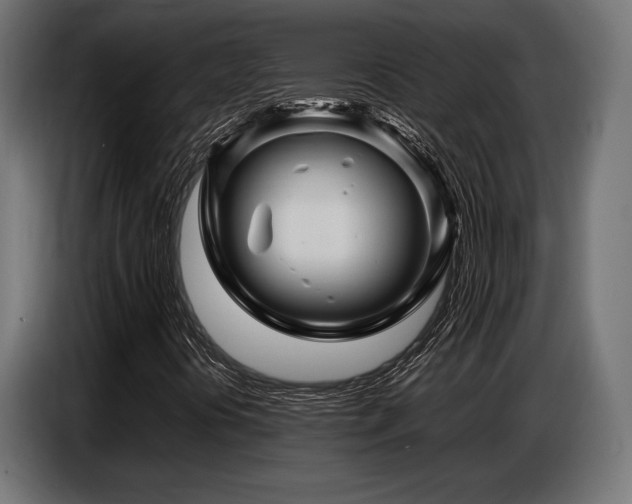 X0000087711394200705041050