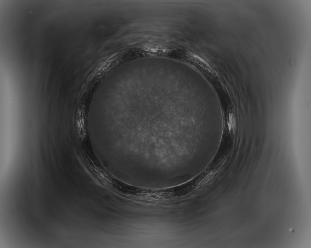 X0000087711396200705041050