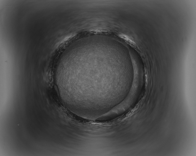 X0000087711398200705041050