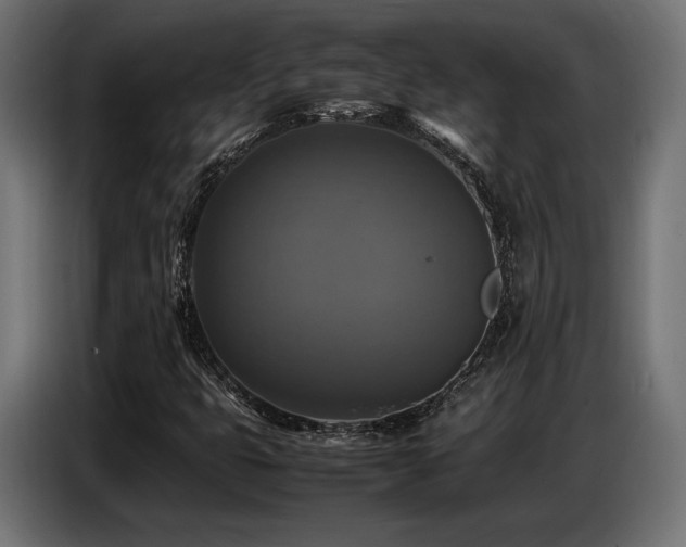 X0000087711399200705041050