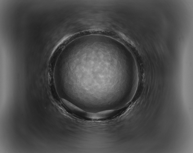 X0000087711400200705041050