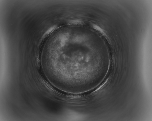 X0000087711403200705041050