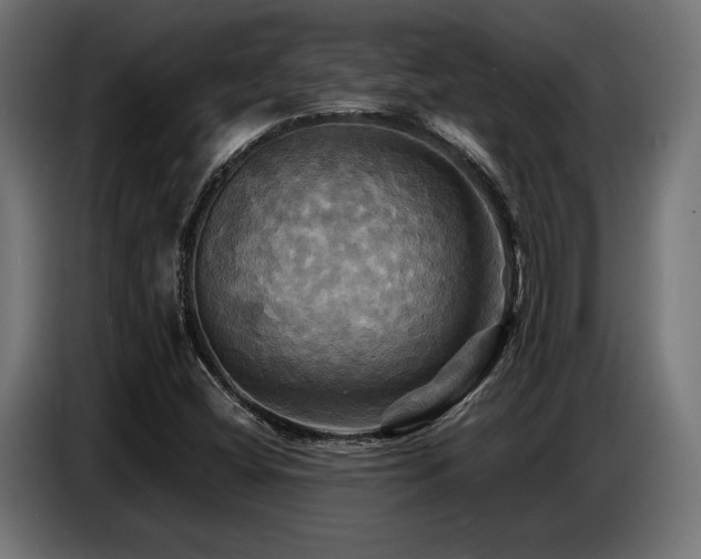 X0000087711404200705041050