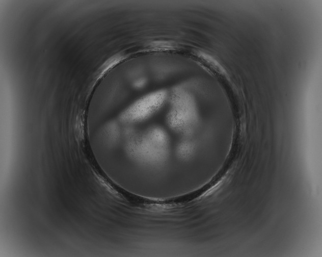 X0000087711409200705041050