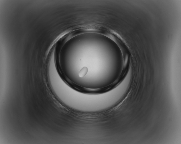 X0000087711410200705041050