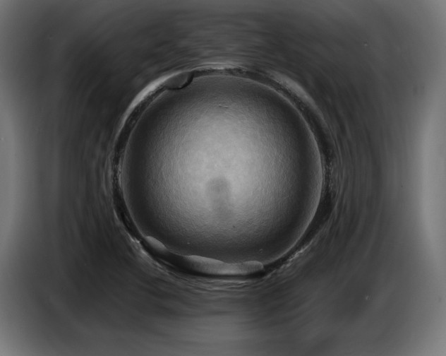 X0000087711412200705041050