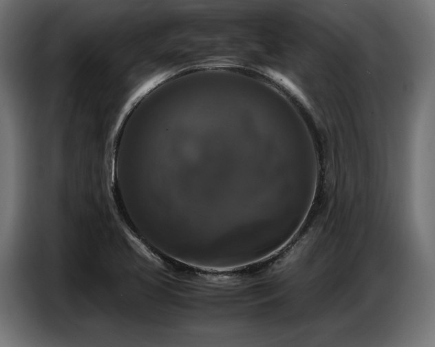 X0000087711413200705041050