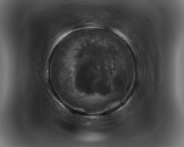 X0000087711415200705041050