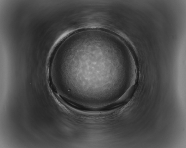 X0000087711416200705041050