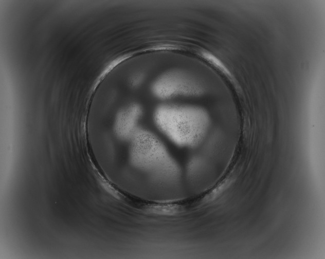 X0000087711417200705041050