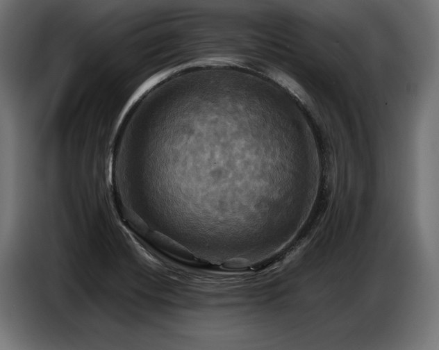 X0000087711420200705041050