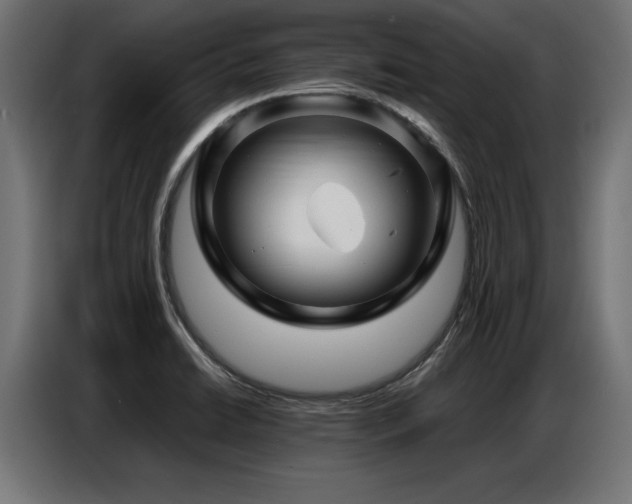 X0000087711422200705041050