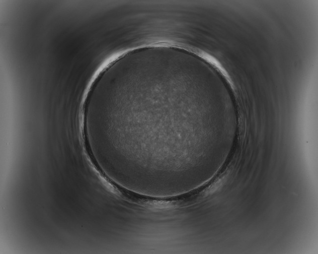 X0000087711424200705041050