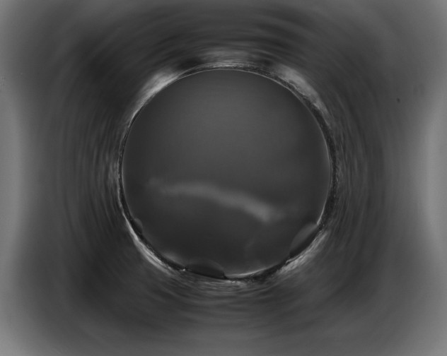 X0000087711425200705041050