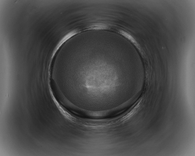 X0000087711426200705041050