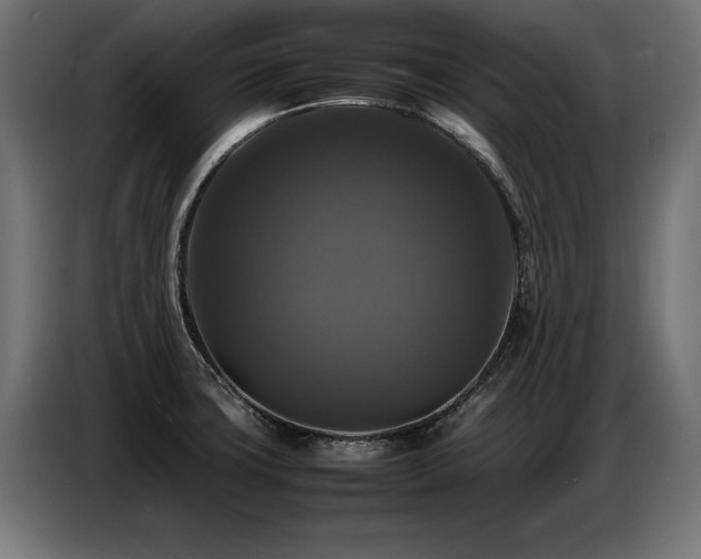 X0000087711427200705041050