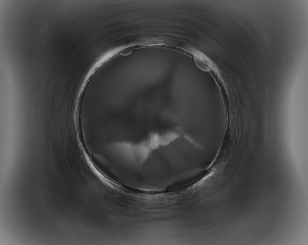 X0000087711429200705041050