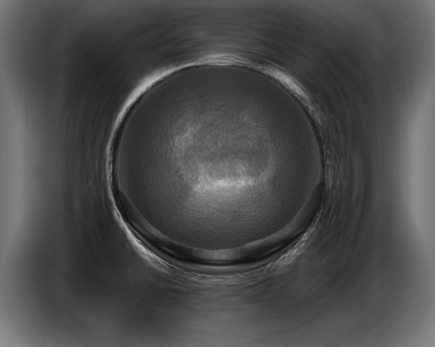 X0000087711430200705041050