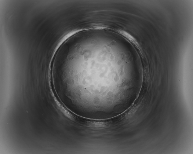 X0000087711431200705041050