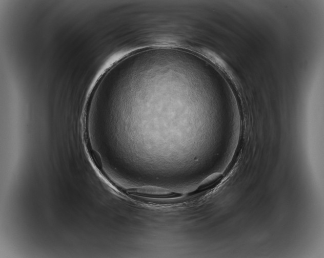 X0000087711432200705041050