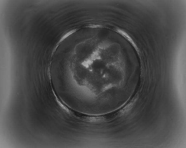 X0000087711433200705041050