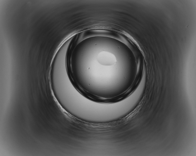 X0000087711434200705041050