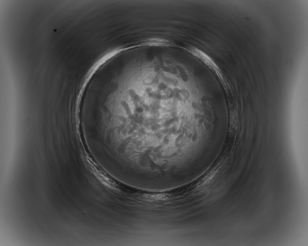X0000087711435200705041050