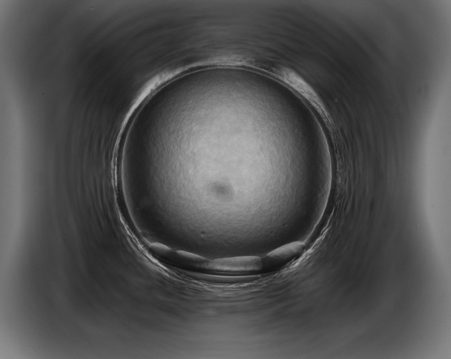X0000087711436200705041050