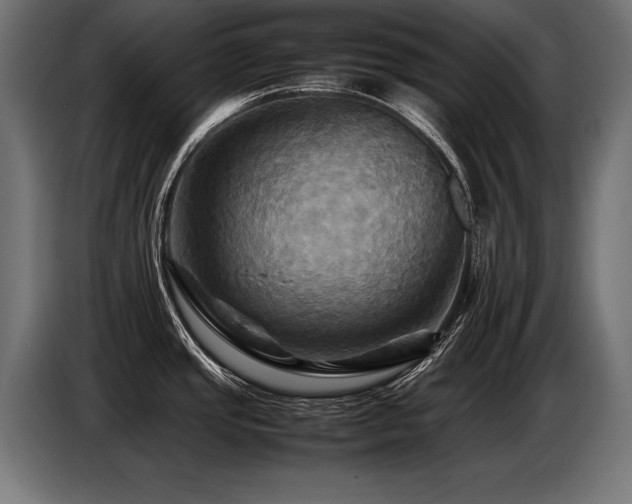 X0000087711437200705041050