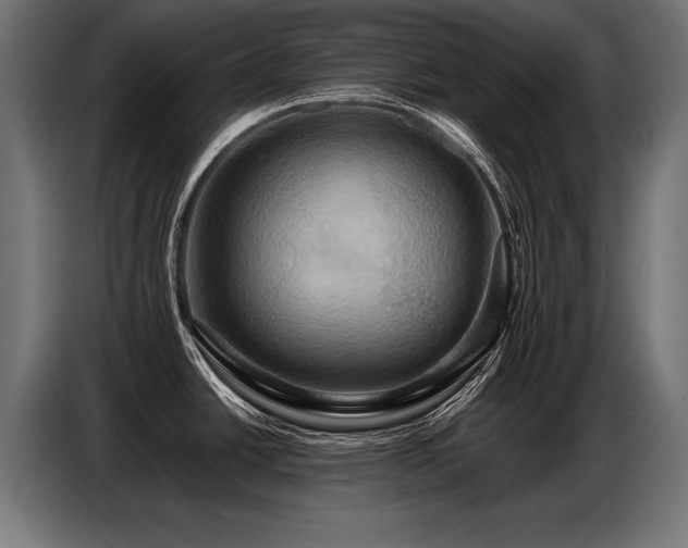 X0000087711438200705041050