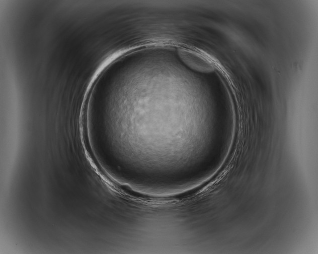 X0000087711440200705041050