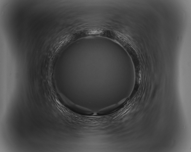 X0000087711441200705041050