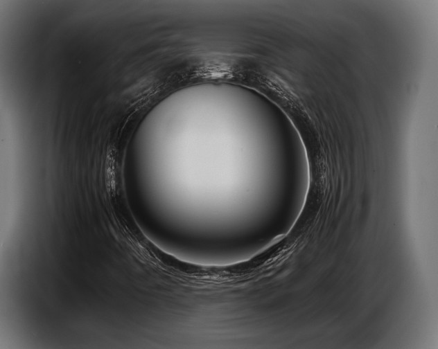 X0000087711442200705041050