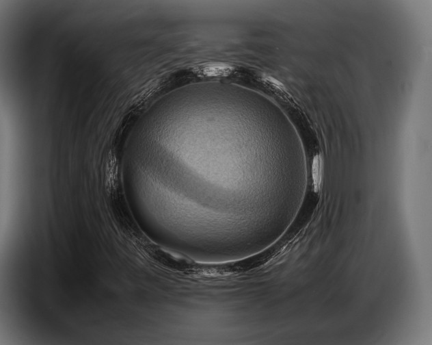 X0000087711443200705041050
