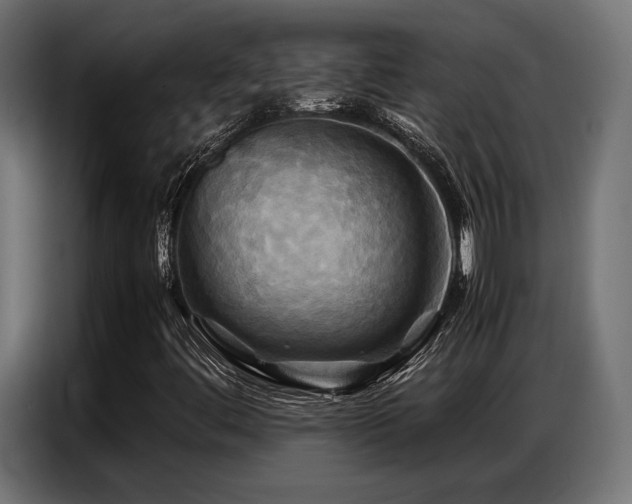 X0000087711444200705041050