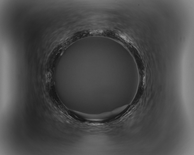 X0000087711445200705041050