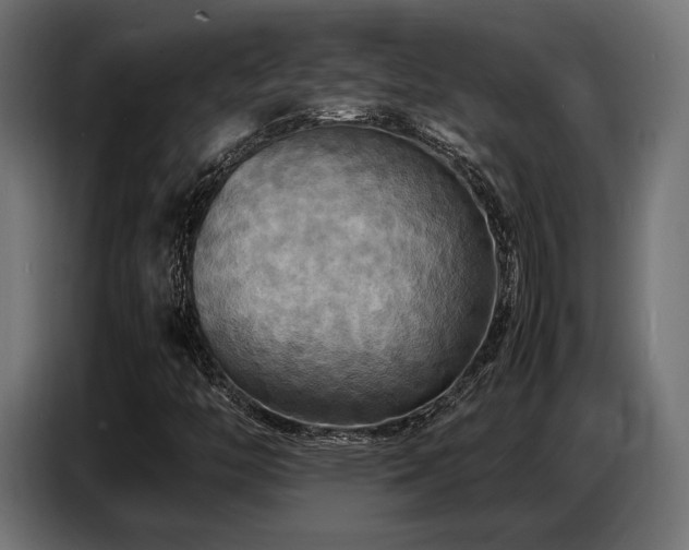 X0000087711446200705041050