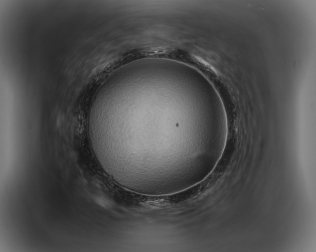 X0000087711447200705041050