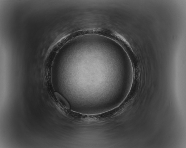 X0000087711448200705041050