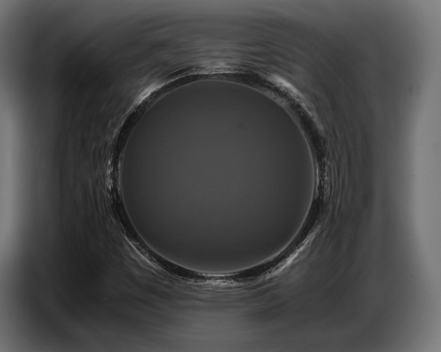 X0000087711449200705041050