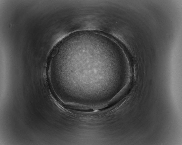 X0000087711452200705041050