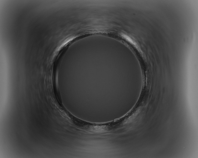 X0000087711453200705041050