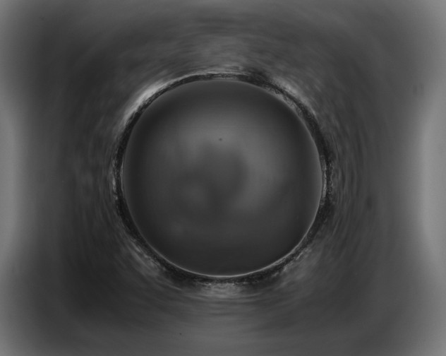 X0000087711455200705041050