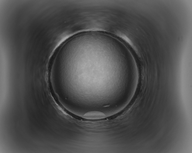 X0000087711460200705041050