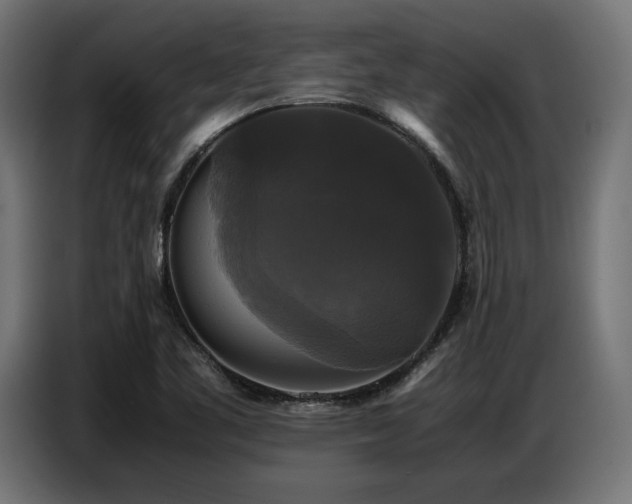 X0000087711461200705041050