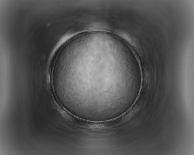 X0000087711462200705041050