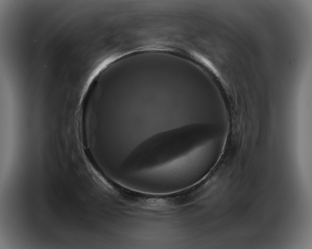X0000087711463200705041050
