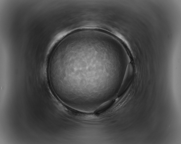 X0000087711464200705041049